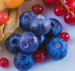 Set of blueberries and currants.