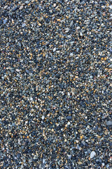 the texture of the pebbles in close-up as a background