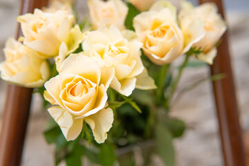 Beautiful white roses in a home vase