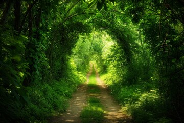 Green Foliage, Mysterious Summer Forest Tunnel, Sunny Path in Dense Vegetation, Copy Space