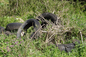 old car tires in the grass outdoors, environmental pollution