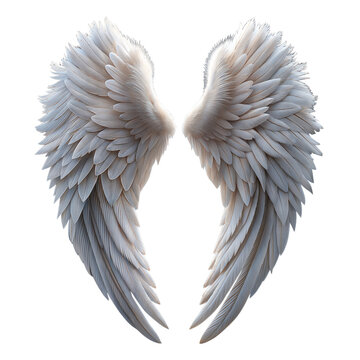recommend clip art: White Angel Wings on Transparent Background