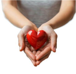Obraz premium heart in hands