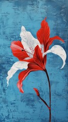 Red and white amaryllis flower on textured blue background
