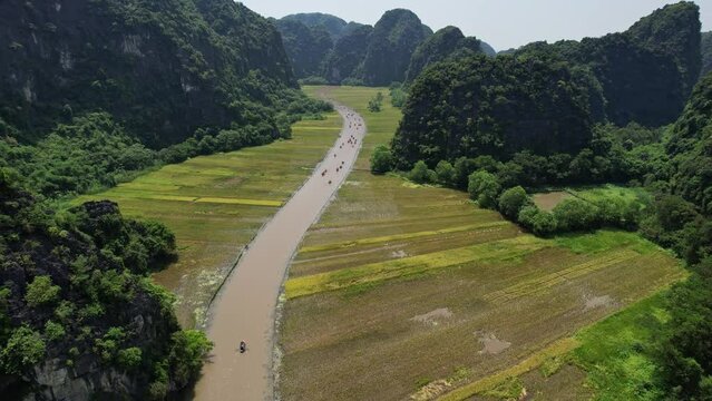 Group adventures through stunning river rice fields landscape on kayaks Nin-Binh Tam Coc Vietnam Asia 4K drone view
