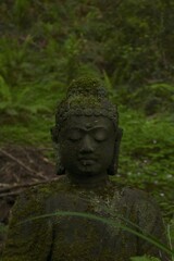 statue of buddha in the forest