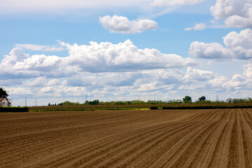 Campo agricolo preparato per la semina di stagione