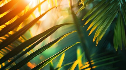 A leafy green background with a bright yellow sun shining through the leaves. The image has a tropical feel to it