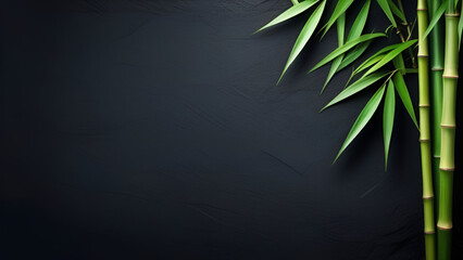 Bamboo leaves, Isolated on a dark background, with copy space