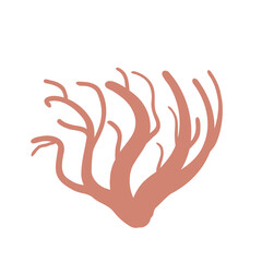 Coral reef isolated on white background. Sea underwater elements. Vector flat illustration