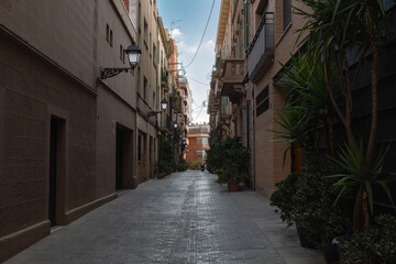 nice street with plants in the city of Barcelona. old housing architecture