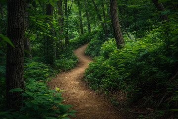 Obraz premium A winding path through a dense forest, surrounded by green foliage.