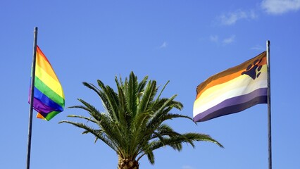 The LGBT bear flag flies next to the rainbow flag with blue sky and a palm tree in the background