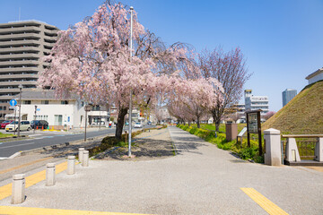 宇都宮城址公園