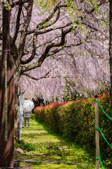 宇都宮城址公園
