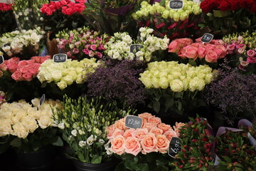 Roses in a flower shop