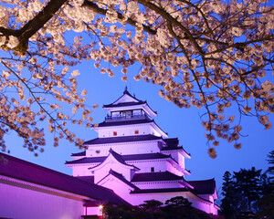 Fototapeta premium 会津若松市 鶴ヶ城と満開の桜