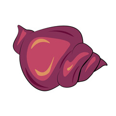 Print illustration of a seashell