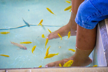 Fish pedicures, also known as Garra rufa therapy. This fish eats dead skin cells.