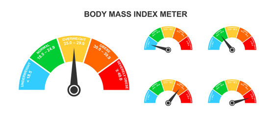 Body mass index meters. Set of infographic BMI dashboards with arrows. Weight measuring scales with underweight, normal, overweight and obese ranges. Vector flat illustration.
