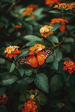 Beautiful butterfly perched on a vibrant flower. Suitable for nature and garden themes