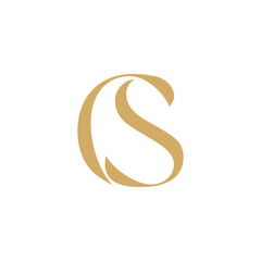 Abstract Letters C and S Logo 102