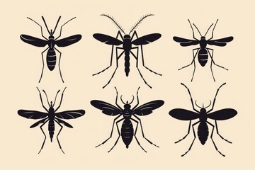 A group of black and white mosquitos. Suitable for educational materials