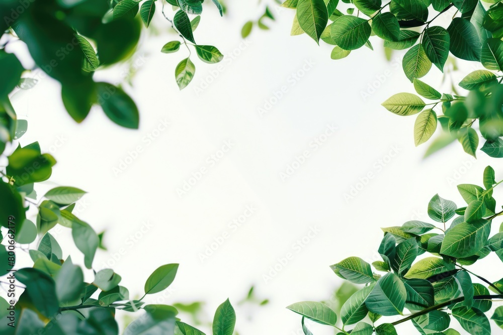 Poster a serene image of a green leafy tree against a white sky. perfect for nature and environment concept