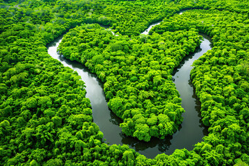 Heart-shaped ivy leaves growing on a garden wall