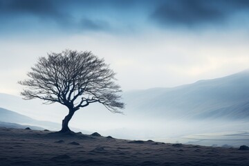 Lone tree on a desolate landscape