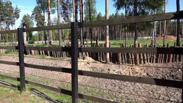 Fence and stockade of logs in a city zoo.