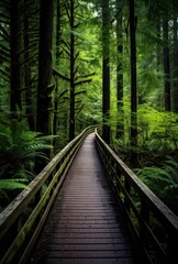 Enchanting Forest Pathway