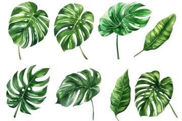 Beautiful watercolor painting of tropical leaves, perfect for tropical-themed designs