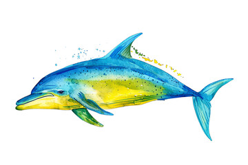 Minimalistic watercolor of a Mahi Mahi (Dolphin Fish) on a white background, cute and comical.