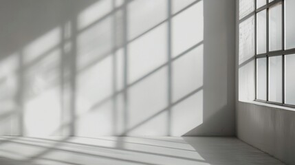 Shadow overlay effect background, light and shadow outside the window. Shadow overlay effect and model of natural lightning inside the room