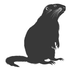 Silhouette marmot animal black color only full body