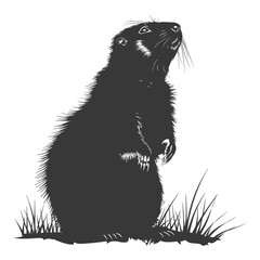 Fototapeta premium Silhouette marmot animal black color only full body
