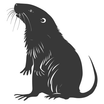 recommend clip art: Silhouette mole animal black color only full body 