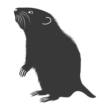 recommend clip art: Silhouette mole animal black color only full body 