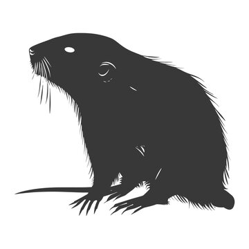 recommend clip art: Silhouette mole animal black color only full body 