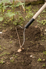 details of a rake plowing the land, farm work tools, objects for harvesting and sowing the environment, agriculture scene