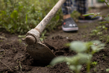 Fototapeta premium working with a hoe, field work tools, agriculture and environmental conservation, land details