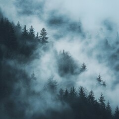 Trees enveloped in mist under cloudy skies. Enigmatic and tranquil natural vista
