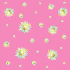 cute small flower pattern of Mimusops Elengi flowers or Bokul flowers on a pink background. Vector illustration.