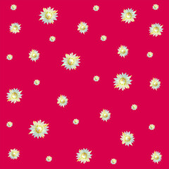 cute small flower pattern of Mimusops Elengi flowers or Bokul flowers on a red color and redberry color background. Vector illustration.