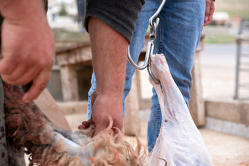 The butcher is cutting the sheep while it is hanging as a sacrifice for Allah, like Aqiqah, Nather,...