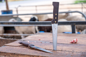 On the wooden board, a knife is stuck, with sheep in the background in the barn