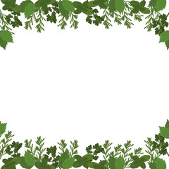 Fototapeta premium Fresh greens frame concept of healthy eating. Menu design cafe, restaurant, flyer, poster. Vector illustration.