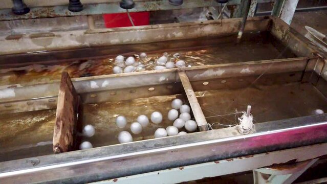 Mysuru, Karnataka, India-April 7 2024; A Raw Silk thread extraction procedure from the cocoons before connecting it to the spinning mill in Sericulture farming in India.

