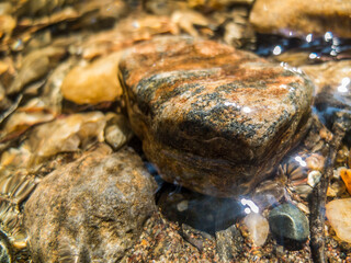 River Rock Close Up With Blurred Bed Of Rock In The Background